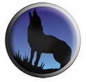 Coexisting with Coyotes
