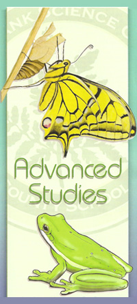 Advanced Studies at Fernbank Science Center