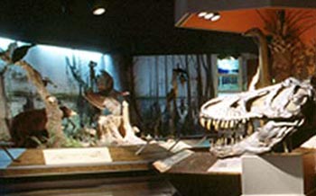 Exhibit Hall 2