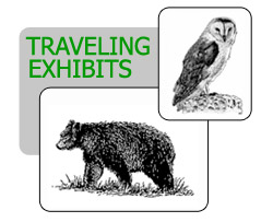 Travel Exhibits