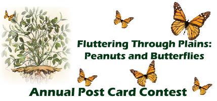 Butterfly Postcard Contest