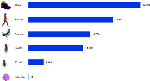 Gene Comparison