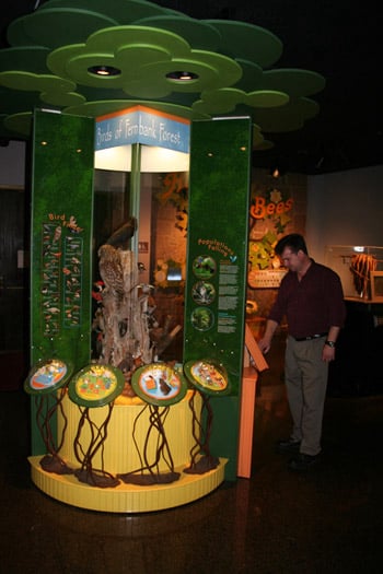 Bird Exhibit Image