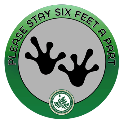 Safe Distance Logo