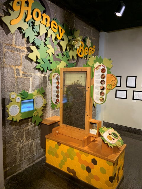Image of honeybee exhibit