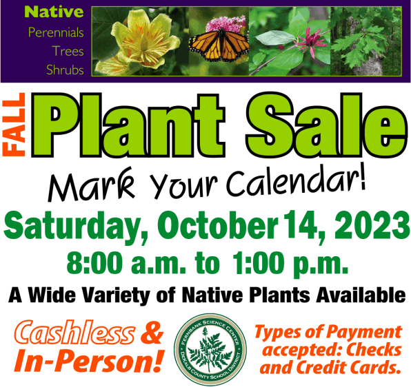 Fall Plant Sale